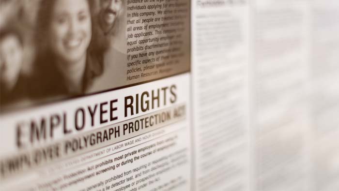 Five Labor Law Posters Every Business Must Display-4-8-22