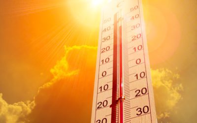 Agencies Release Resources Addressing Extreme Heat and Heat-Related Illness